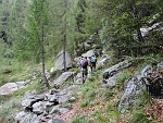 Lungo traverso dopo l'Alpe Miucca per l'Alpe Fornale.....